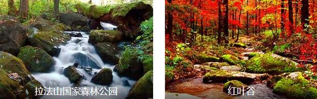 ��������1����·