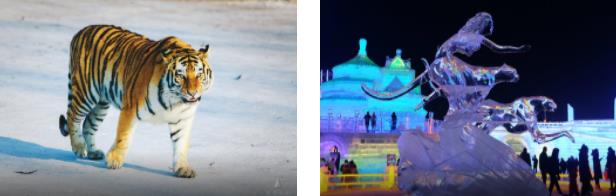 ����������3����·