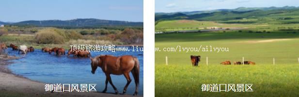 塞罕坝塞外风光2日线路