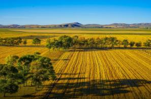 �е¼��ܱ߳���3����·