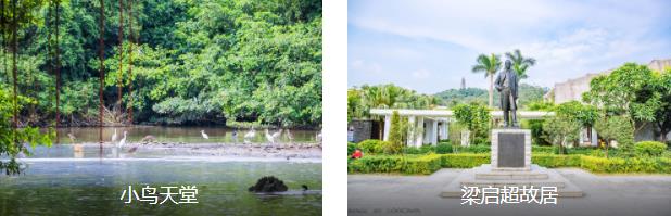 ���ž���2����·