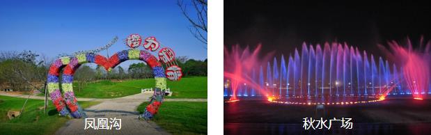 南昌赏花1日线路