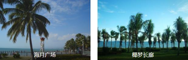 三亚土著5日线路