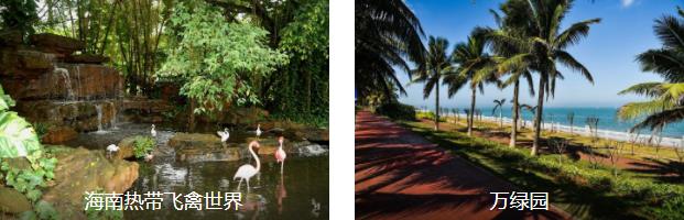 海口热带风情1日线路