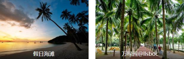 海口经典2日线路