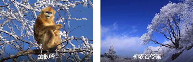 神农架冬日休闲2日线路
