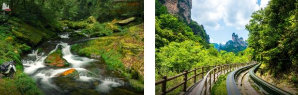 �żҽ羫��2����·