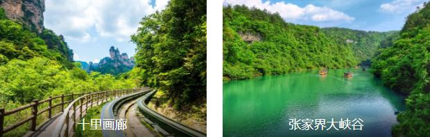 �żҽ���������3����·