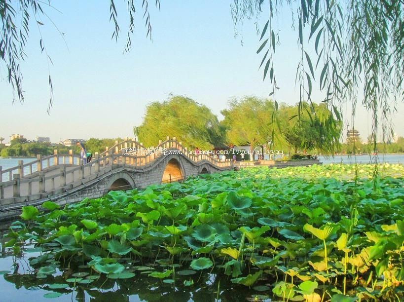 ���� �������棺2��