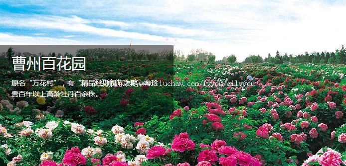 ���� �������棺1��