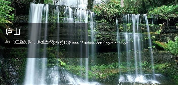 �Ž� �������棺2��