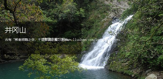 ���� �������棺1��