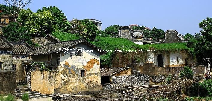 �Ƹ� �������棺1��