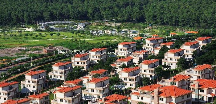 ��Զ �������棺1��