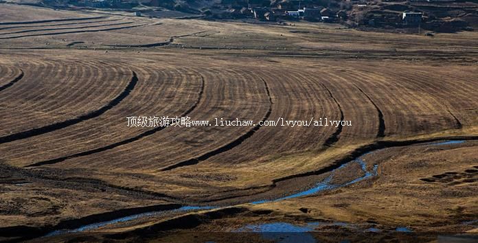 ��ͨ �������棺1��