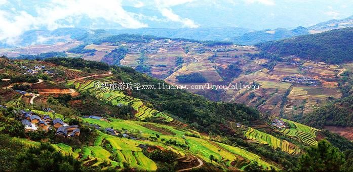 普洱 建议游玩:1天