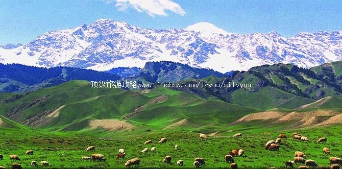 石河子 建议游玩:1天