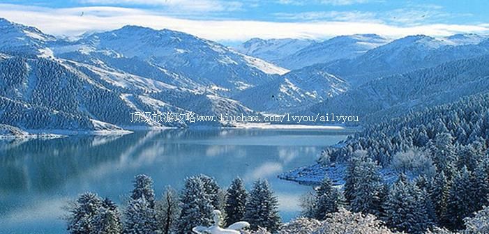 ���� �������棺1��