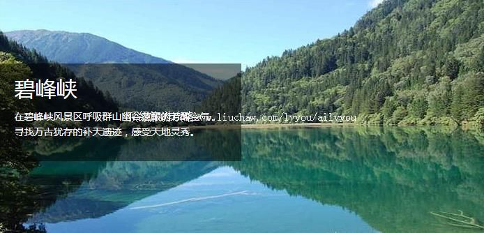 �Ű� �������棺2��