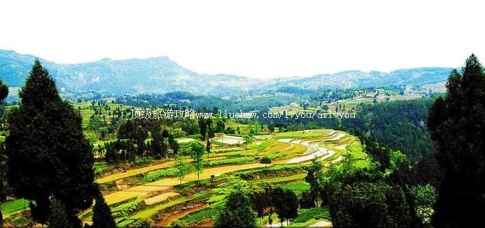 ���� �������棺1��