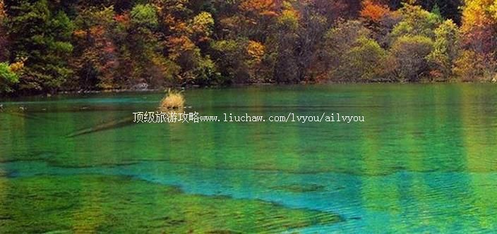 ���� �������棺1��