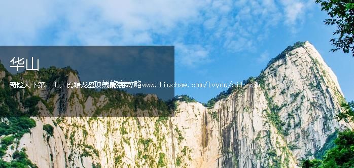 ���� �������棺4��