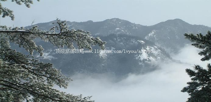 ���� �������棺1��