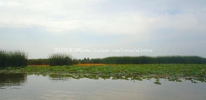 ���� �������棺1��