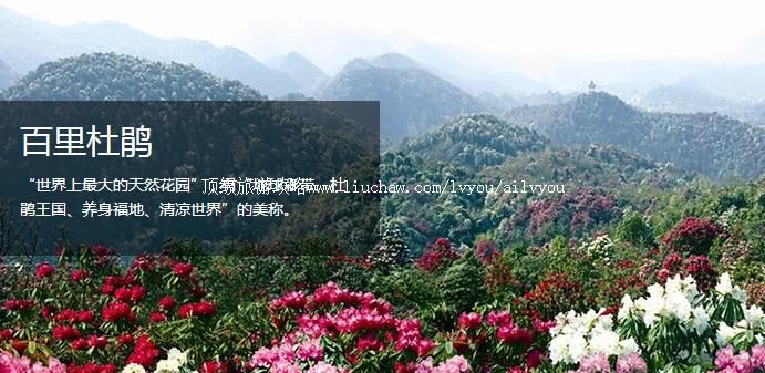 毕节 建议游玩:1天