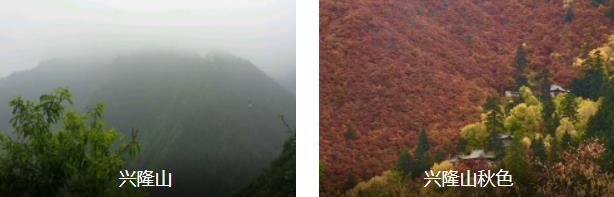 兰州森林2日线路