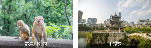 ��������5����·