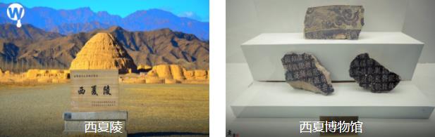 西夏文化探秘1日线路