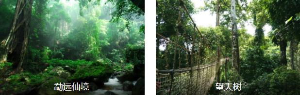 ��˫������Ȼ���2����·