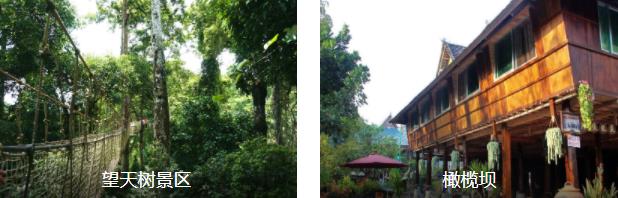 西双版纳热带风情3日线路