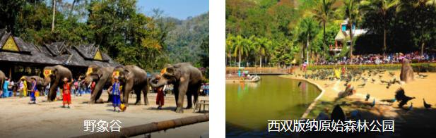 西双版纳亲子3日线路