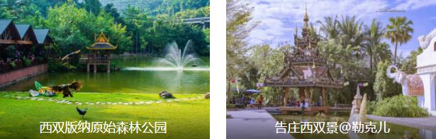 西双版纳经典5日线路
