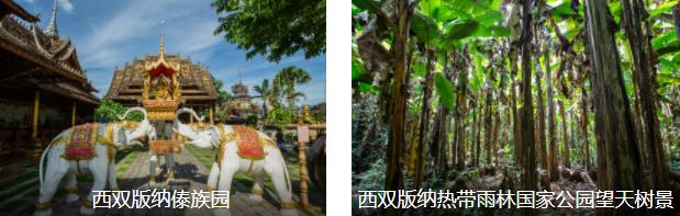 西双版纳风情1日线路