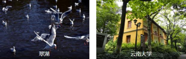 ��������3����·