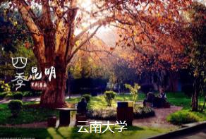 ��������������3����·