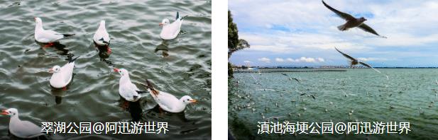 ����������7����·