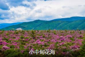 �����Լ�����4����