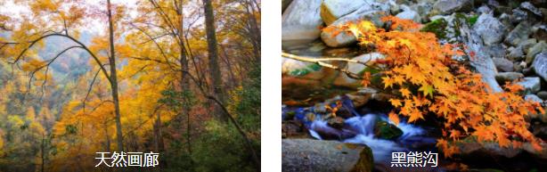 ���о���1����·