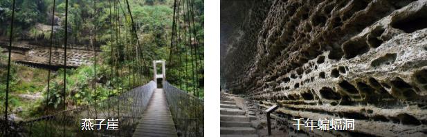 嘉义瑞里风景二日游