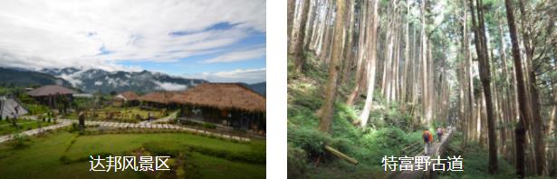 阿里山奋起湖三日游