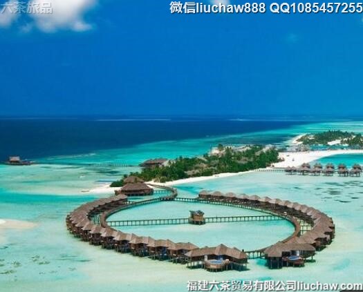 马尔代夫自由行十日旅游攻略