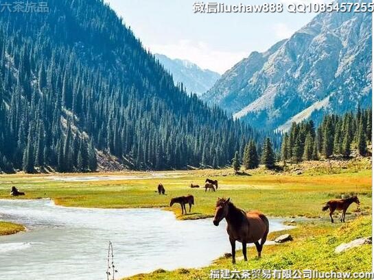 ������˹˹̹������5�����ι���