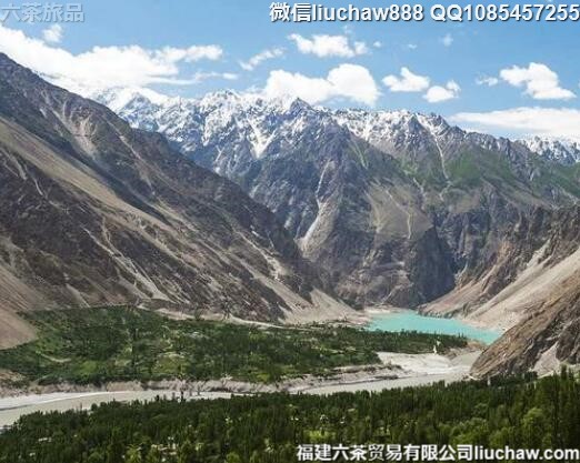 �ͻ�˹̹������10�����ι���