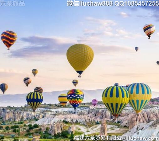 �����������о���10�����ι���