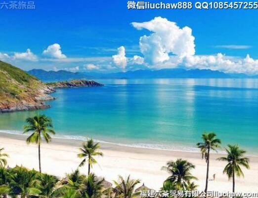 越南芽庄自由行旅游攻略