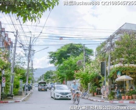 泰国清迈自由行旅游攻略